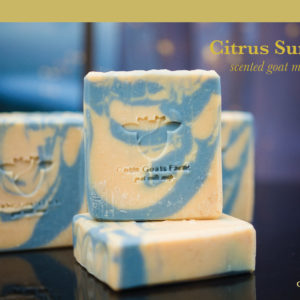 Citrus Sunshine Goat Milk Soap